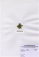 藏品(香蕉菜)的圖片